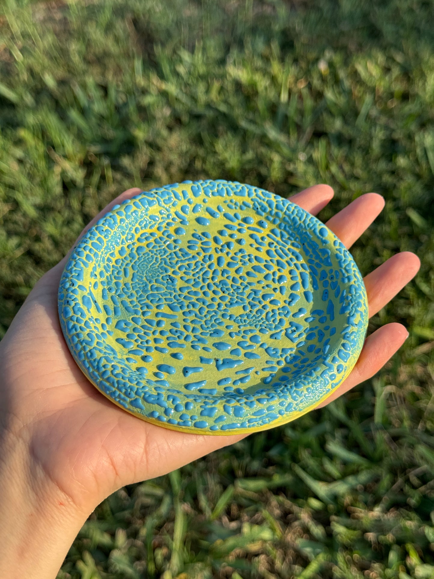 Yellow and Blue Crawl Plate