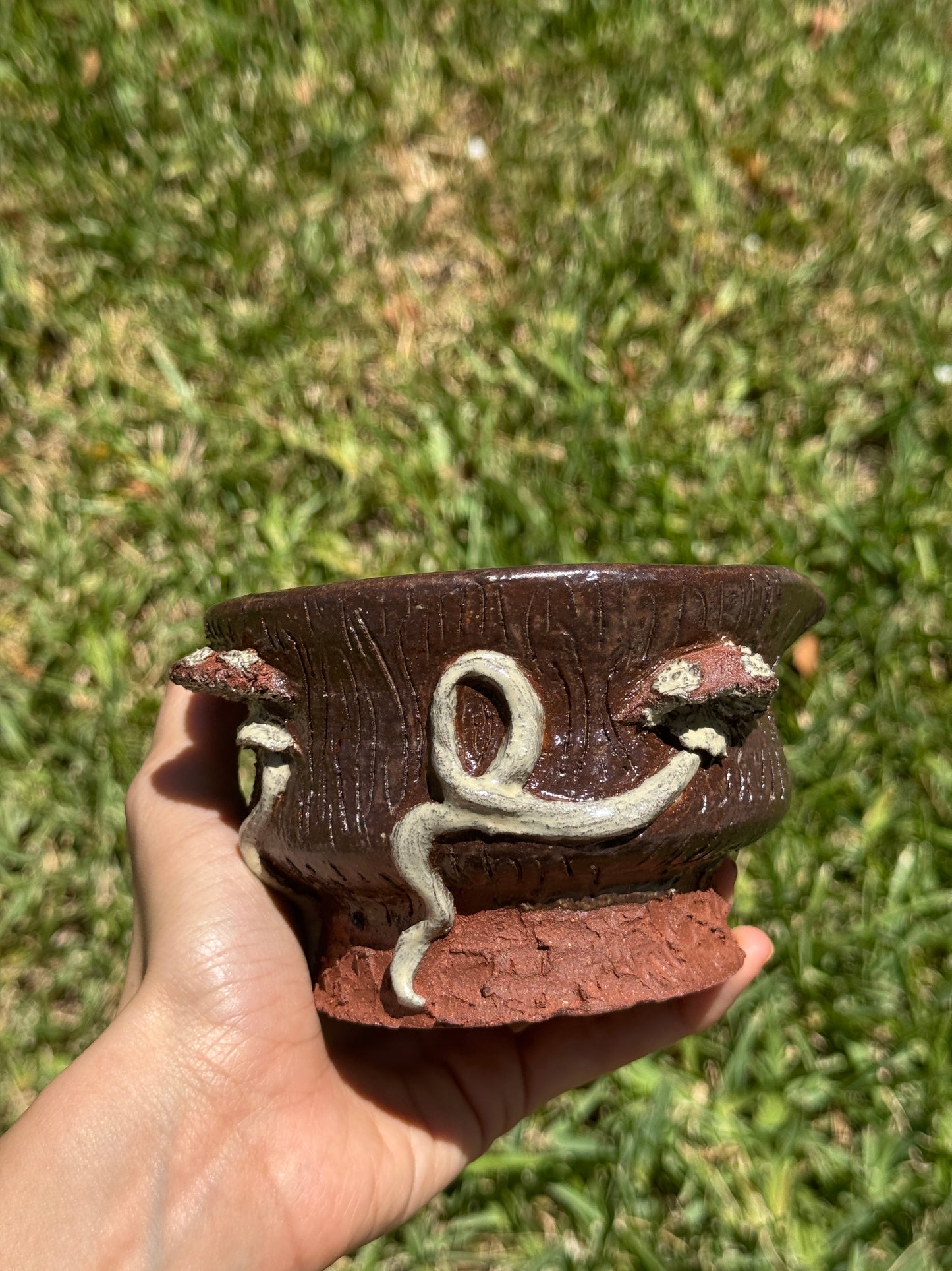 Mushroom Matcha Bowl