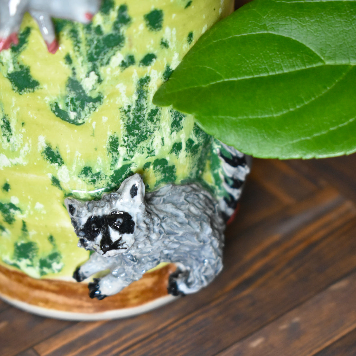 Our wild neighbors 🐿️🦝✨