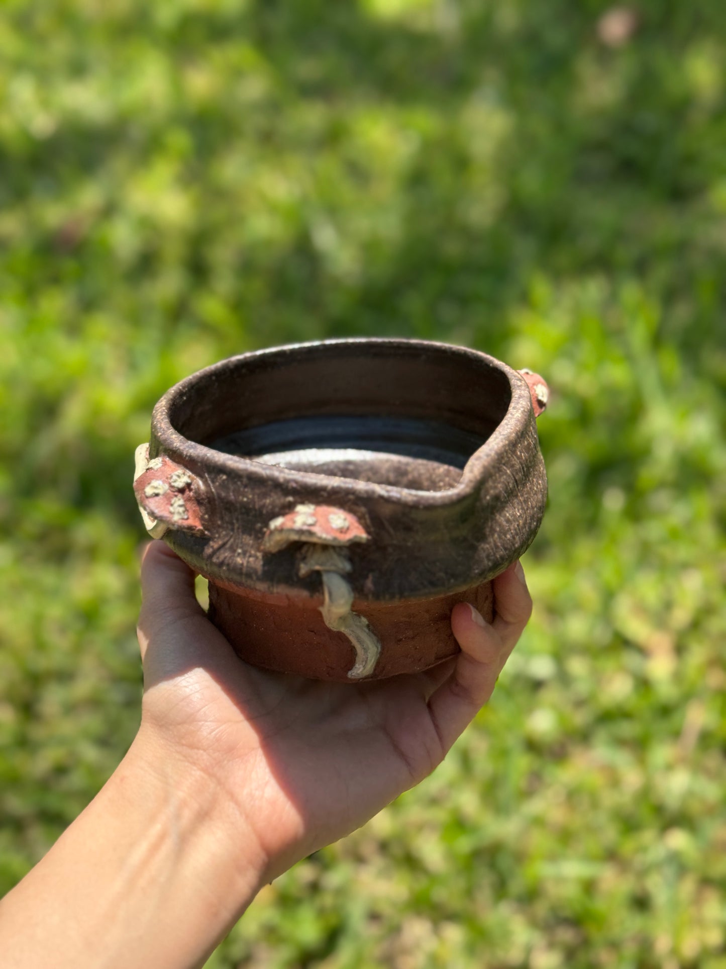 Mushroom Matcha Bowl with 2