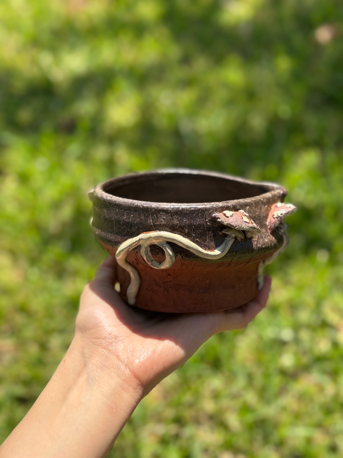 Mushroom Matcha Bowl with 2
