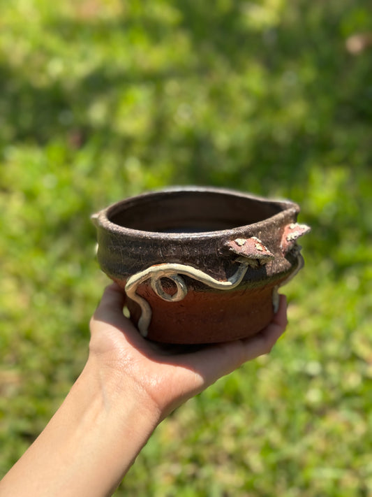 Mushroom Matcha Bowl with 2