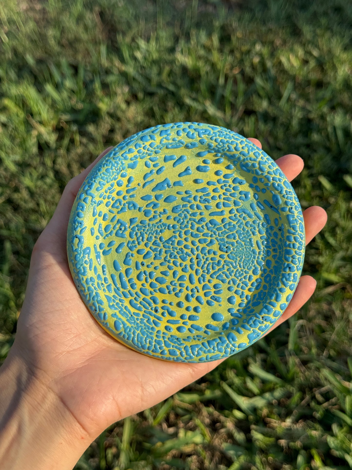 Yellow and Blue Crawl Plate