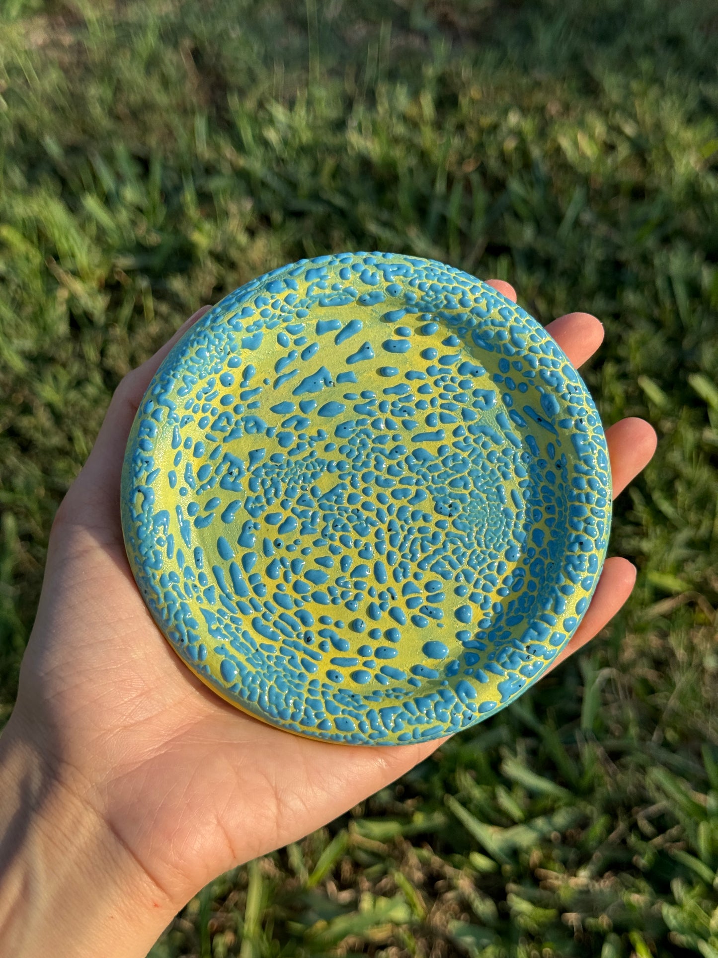 Yellow and Blue Crawl Plate