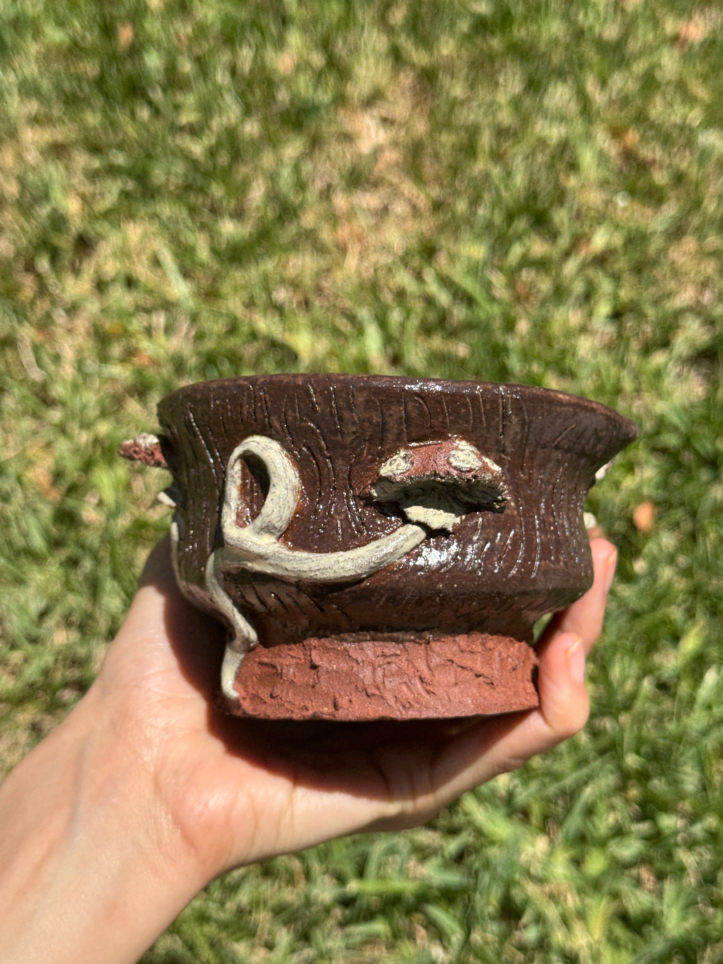 Mushroom Matcha Bowl