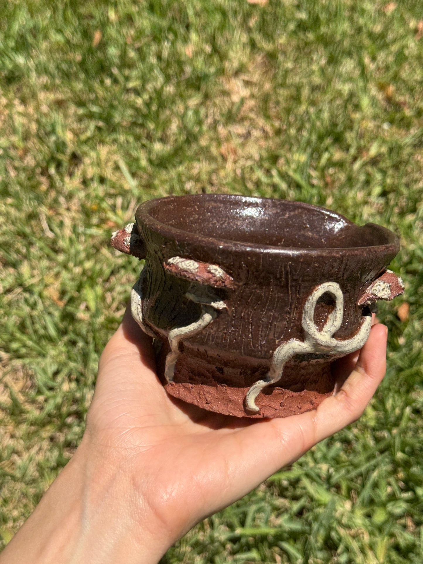 Mushroom Matcha Bowl