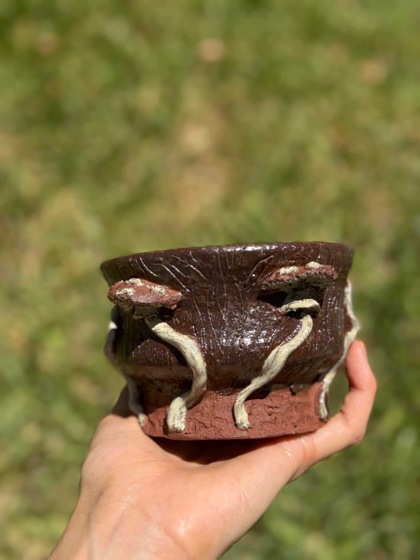 Mushroom Matcha Bowl
