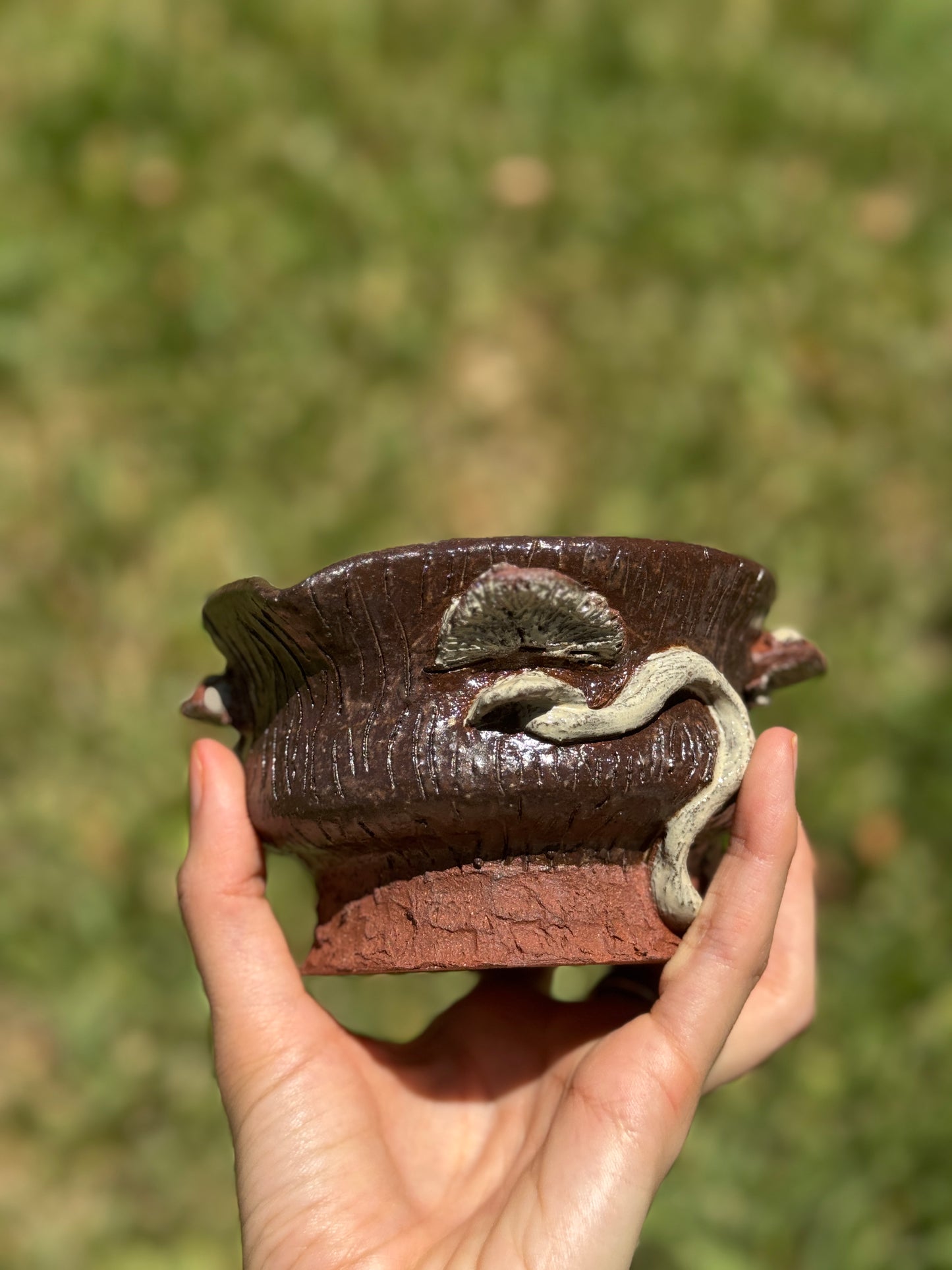 Mushroom Matcha Bowl