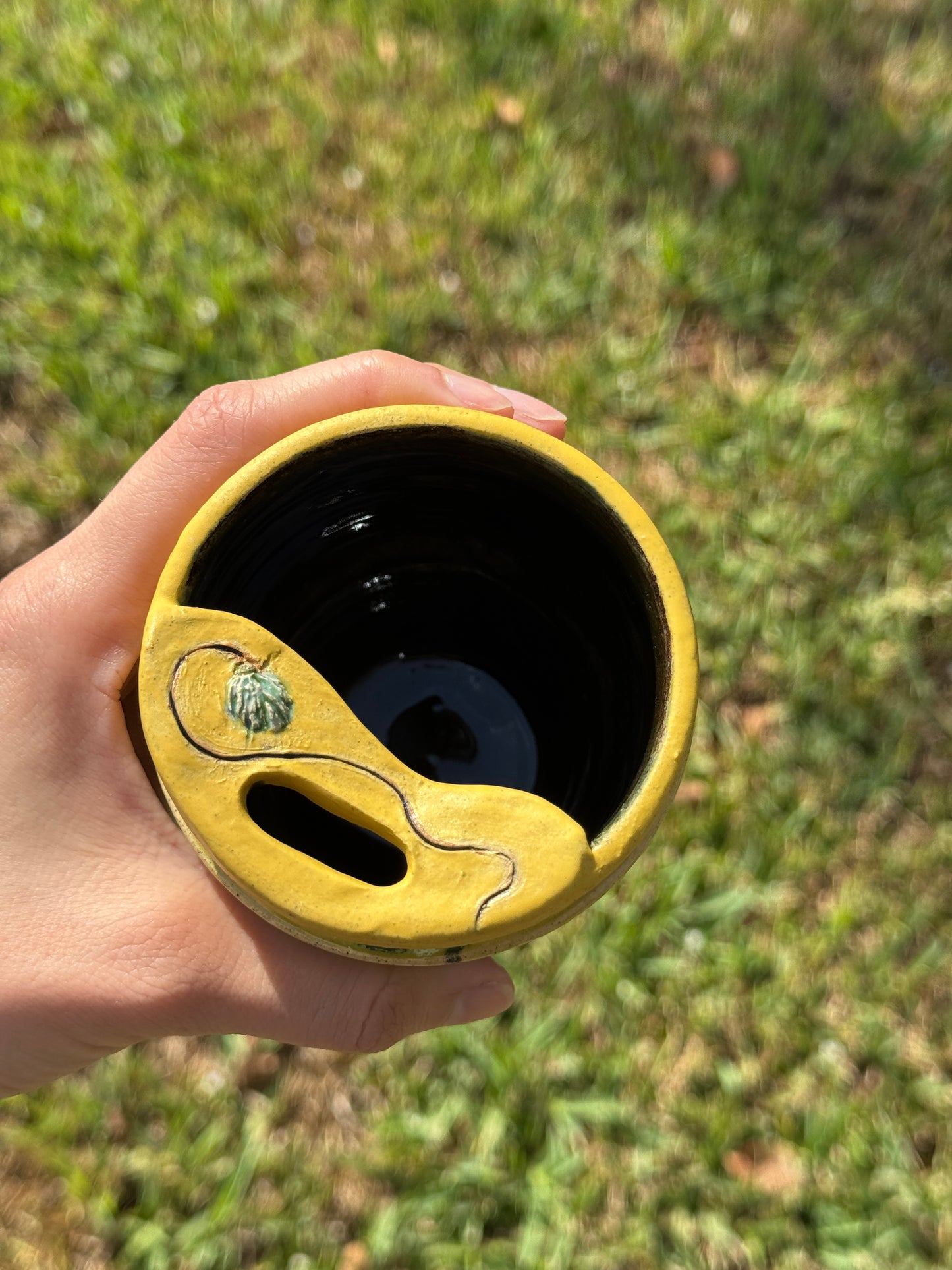 Stop Miauwing Around!