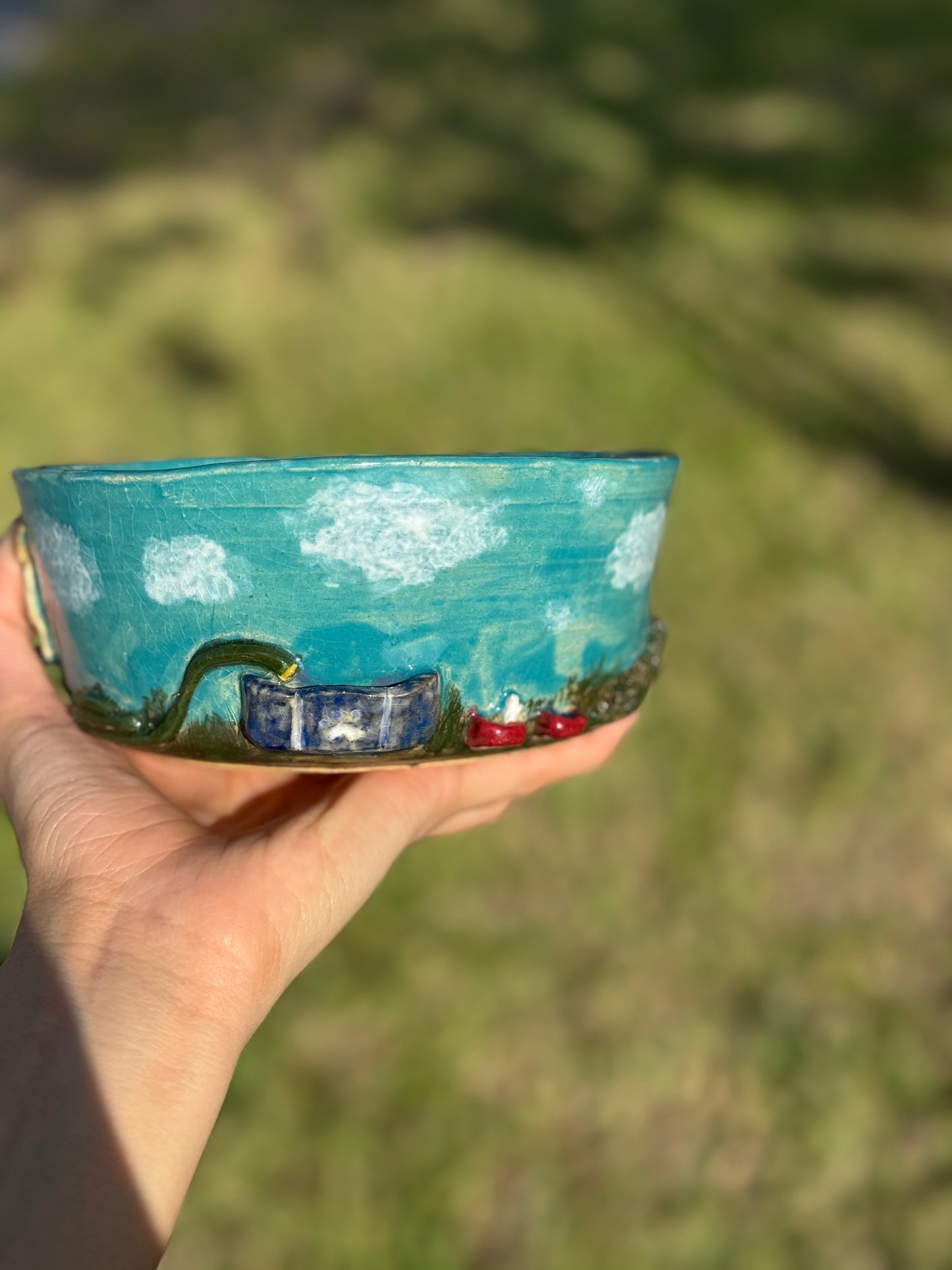 doggie backyard bowl