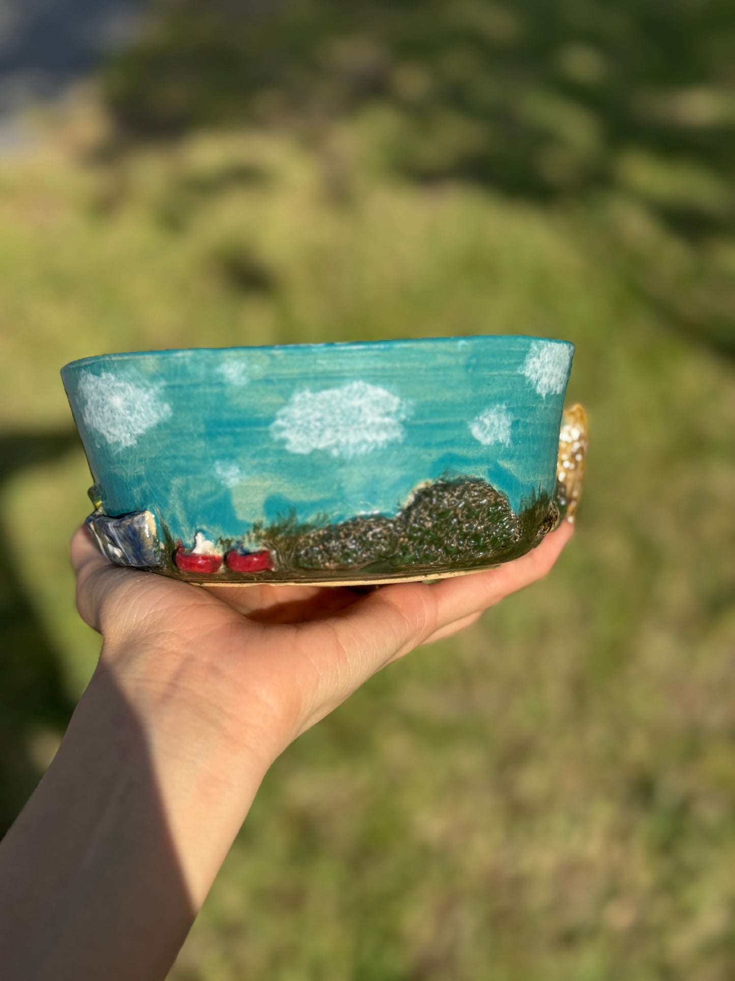 doggie backyard bowl