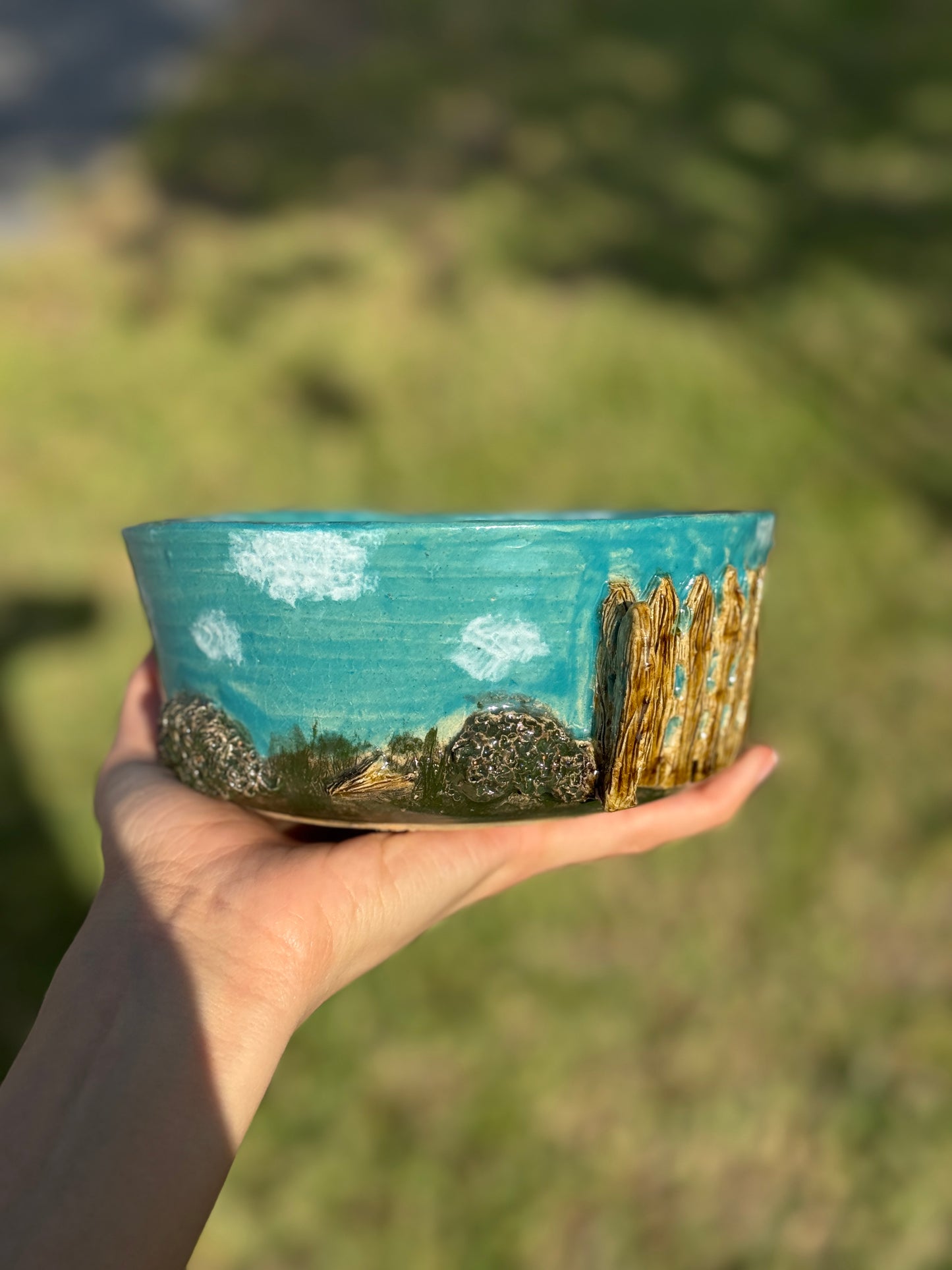 doggie backyard bowl