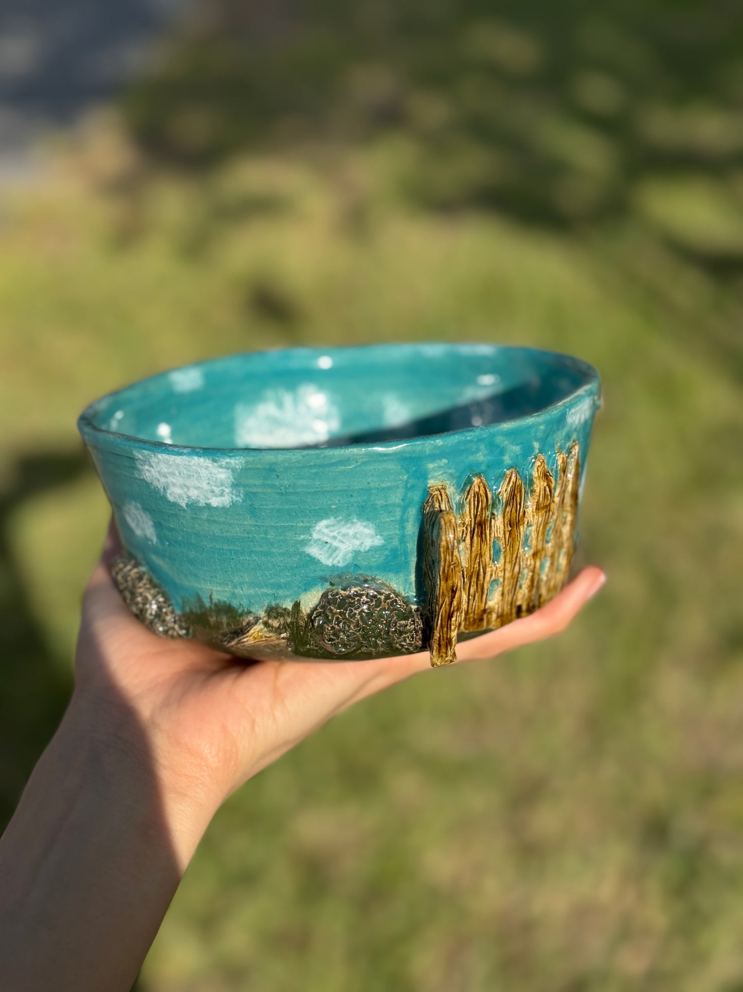 doggie backyard bowl