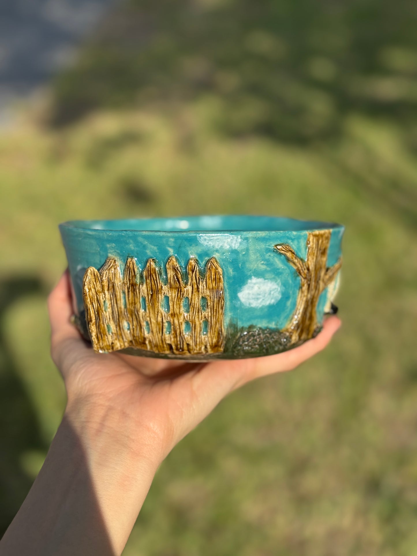 doggie backyard bowl