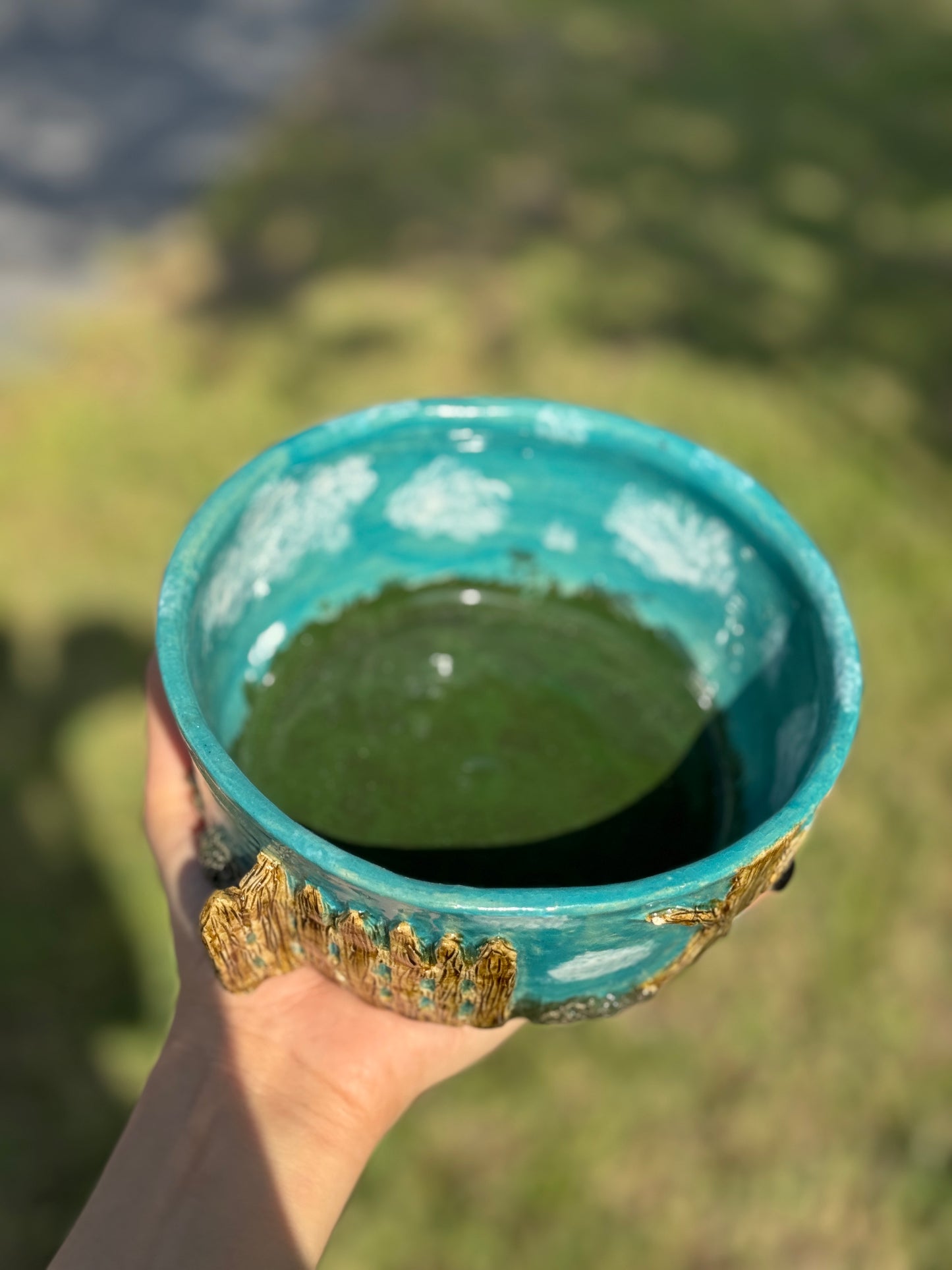 doggie backyard bowl