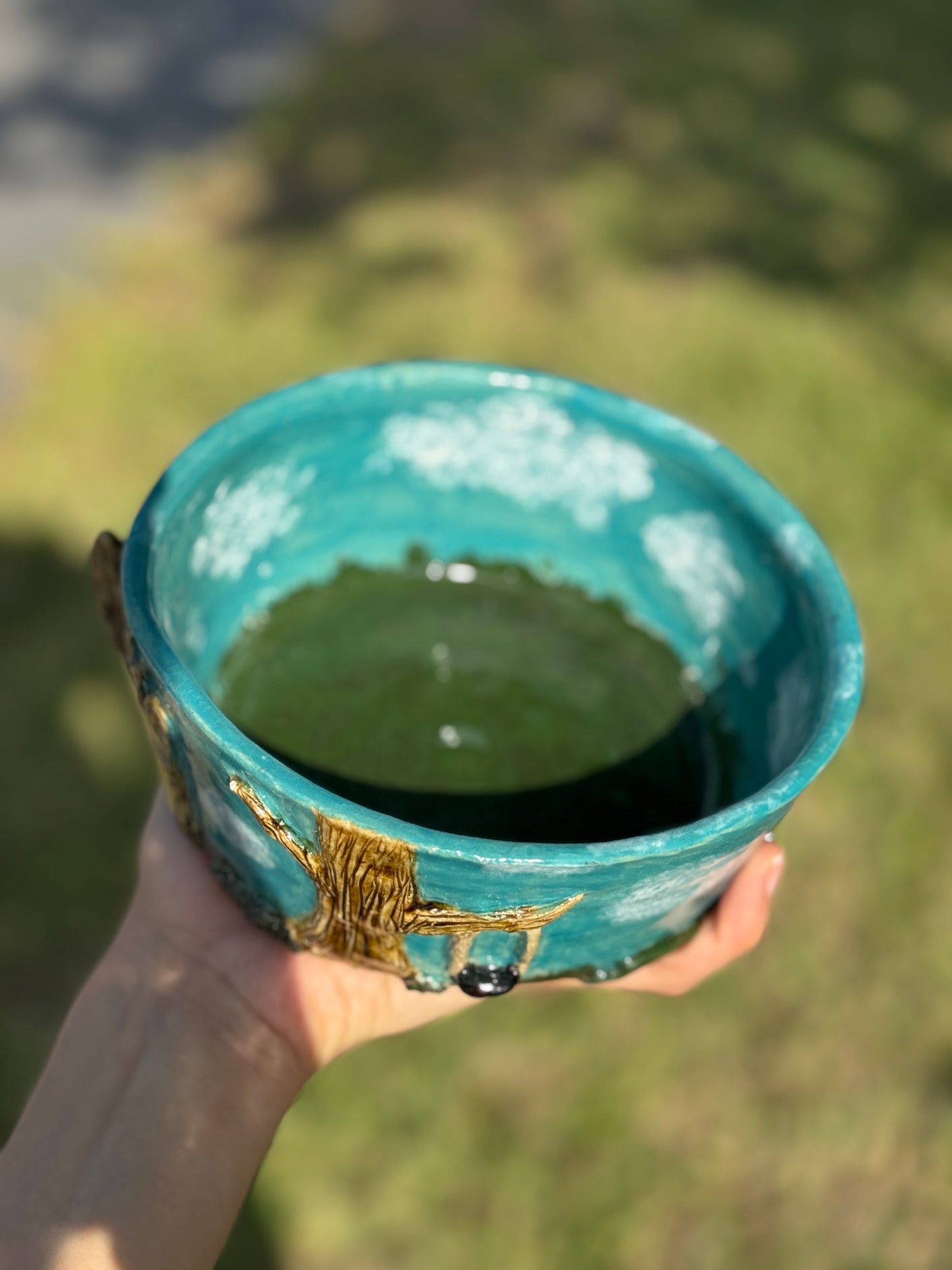 doggie backyard bowl