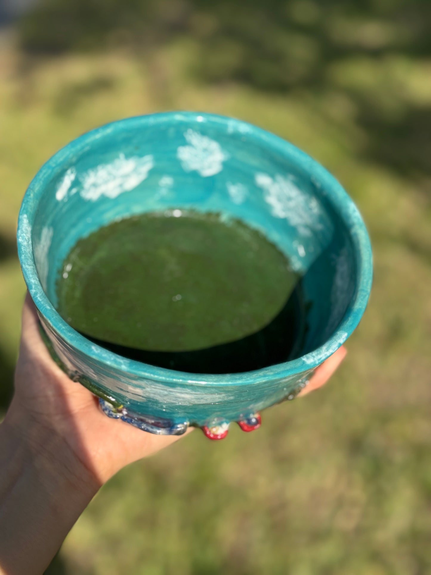 doggie backyard bowl