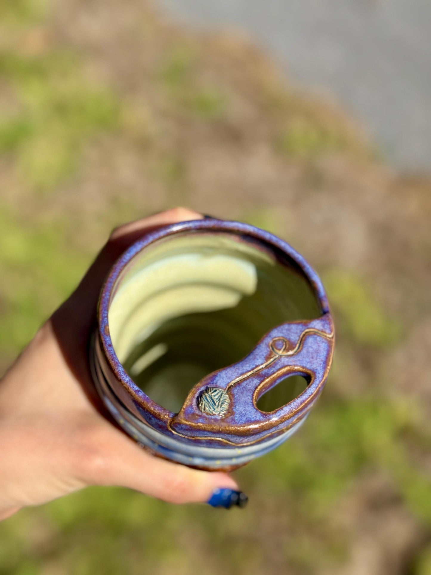 What are the cats up to?