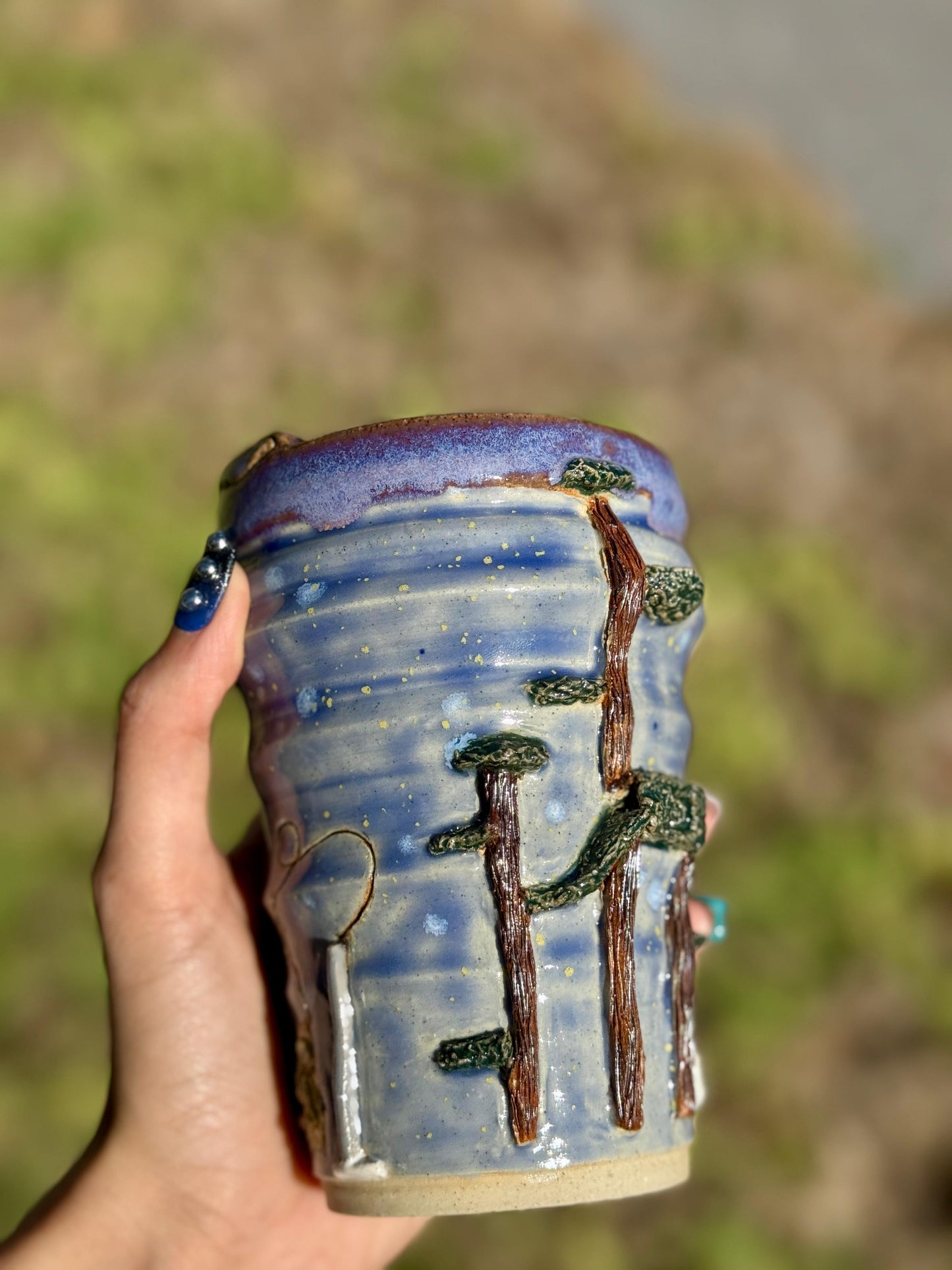 What are the cats up to?