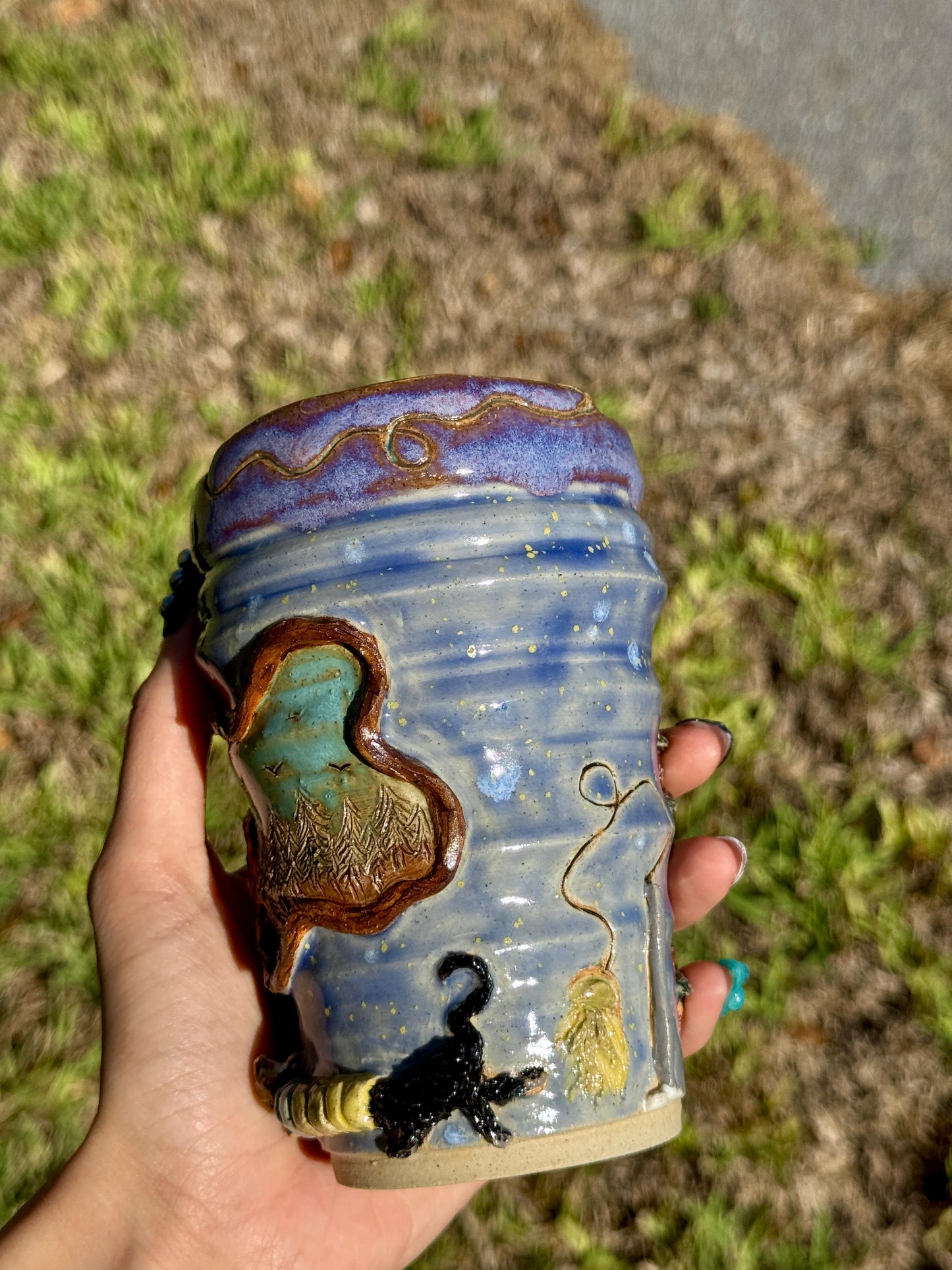 What are the cats up to?