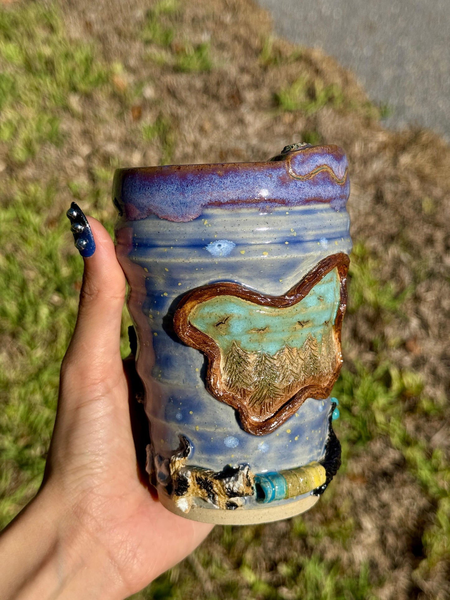 What are the cats up to?