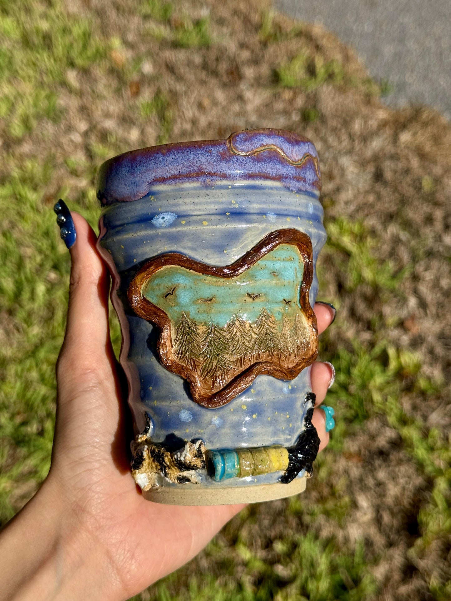 What are the cats up to?